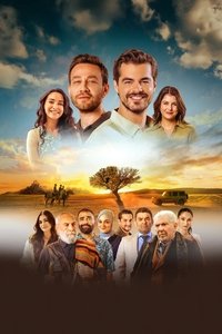 movie-images