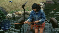 «Bokuno onna ni teodasuna (1986)» — обои к фильму #8