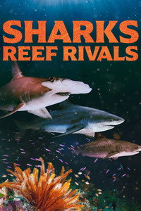Sharks: Reef Rivals