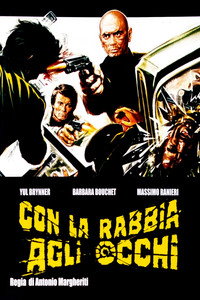 Con la rabbia agli occhi (1976) poster