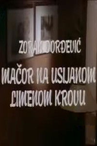 Mačor na usijanom limenom krovu