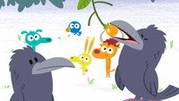 Clever Crows