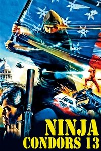Ninja Condors Poster