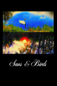 Suns & Birds (2025) poster