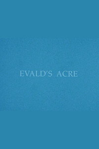 Evaldimaa (1994) poster