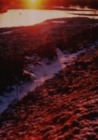 movie-images
