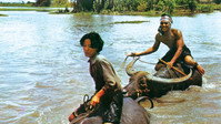 «Plae kao (1977)» — обои к фильму #4