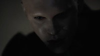 Обои к фильму «Дюна: Часть вторая (2024)» — (39 из 218)