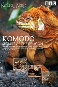 Watch Natural World - Season 31 123Movies