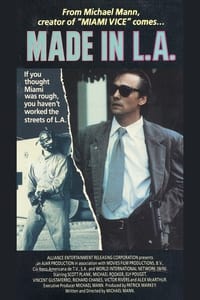 Poster de L.A. Takedown