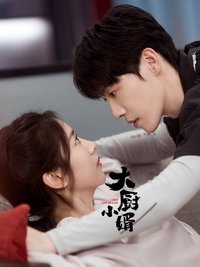 Poster de 大厨小婿