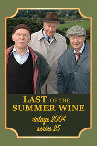 Series 25