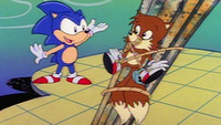 Trail of the Missing Tails
