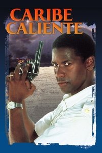 Poster de A espaldas de la ley