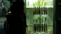 «Тренке-Лаукен, часть 2 (2022)» — обои к фильму #7