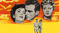 Обои к фильму «Место под солнцем (1951)» — (13 из 23)