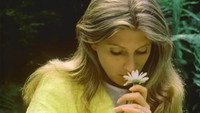 «Иногда сладкая Сьюзен (1975)» — обои к фильму #1
