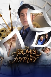copertina serie tv The+Promise+of+Forever 2017