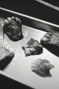 Imagem do Filme A Primer for Dental Extraction