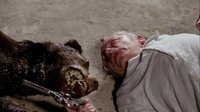 The Big Dead Dog