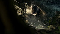 «Un lejano rumor de agua (2020)» — обои к фильму #1