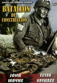 Poster de Batallón de construcción