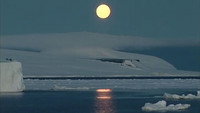 «Antarctica: A Frozen History (2002)» — обои к фильму #1