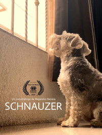 Imagem do Filme Schnauzer