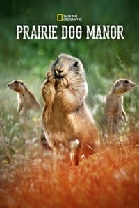 Prairie Dog Manor (2019)