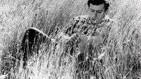 «Жил певчий дрозд (1970)» — обои к фильму #3
