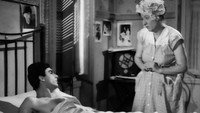«Счастье в Афинах (1954)» — обои к фильму #10