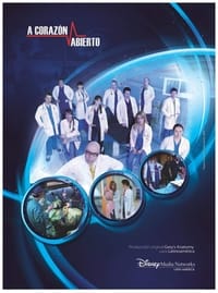 copertina serie tv A+Coraz%C3%B3n+Abierto 2011