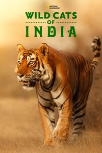 tv show poster Wild+Cats+of+India 2020