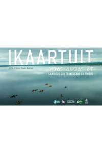 Ikaartuit