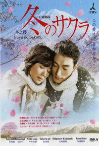 Постер сериала «Зимняя вишня (2011)» — (2 из 3)