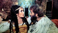 «Укрощение строптивой (1967)» — обои к фильму #7