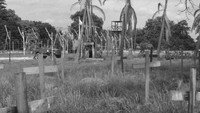 «The Camp on Blood Island (1958)» — обои к фильму #1