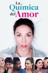 Poster de La química del amor