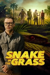 copertina serie tv Snake+in+the+Grass 2022