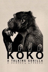 Постер фильма «Коко, говорящая горилла (1978)» — (5 из 6)