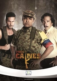 copertina serie tv Los+Tres+Caines 2013
