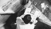 «Три грустных тигра (1968)» — обои к фильму #1