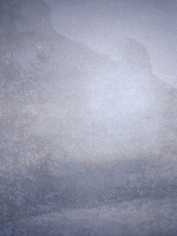Microcosmos 2