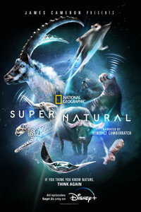 Постер сериала «Сверх/Естественное (2022)» — (5 из 17)