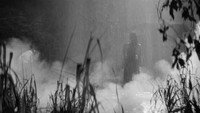 «Пруд кошки-призрака Отама (1968)» — обои к фильму #1