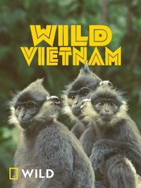 Wild Vietnam - Season 1