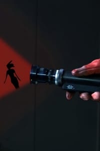 Постер фильма «La rouge et la noire (2011)» — (1 из 2)