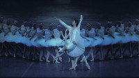 «Лебединое озеро (2007)» — обои к фильму #1