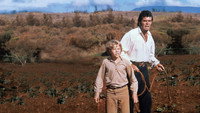 «Ковбой издалека (1974)» — обои к фильму #1