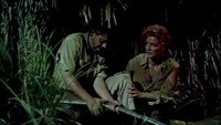 «Назначение в Гондурас (1953)» — обои к фильму #1